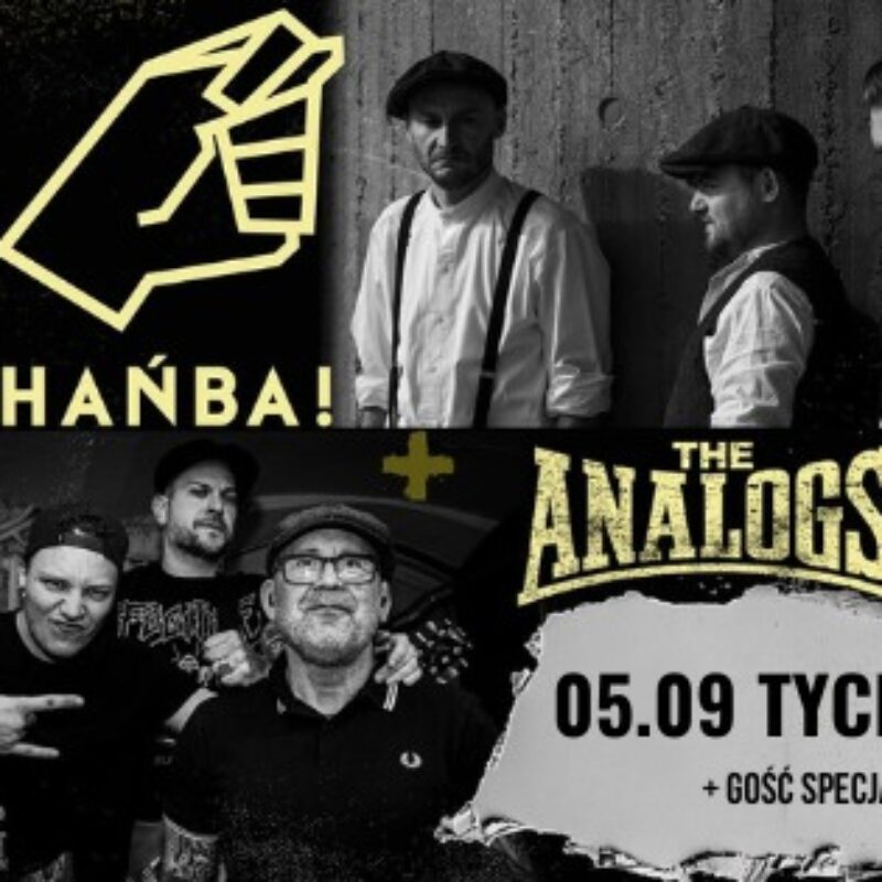 koncert